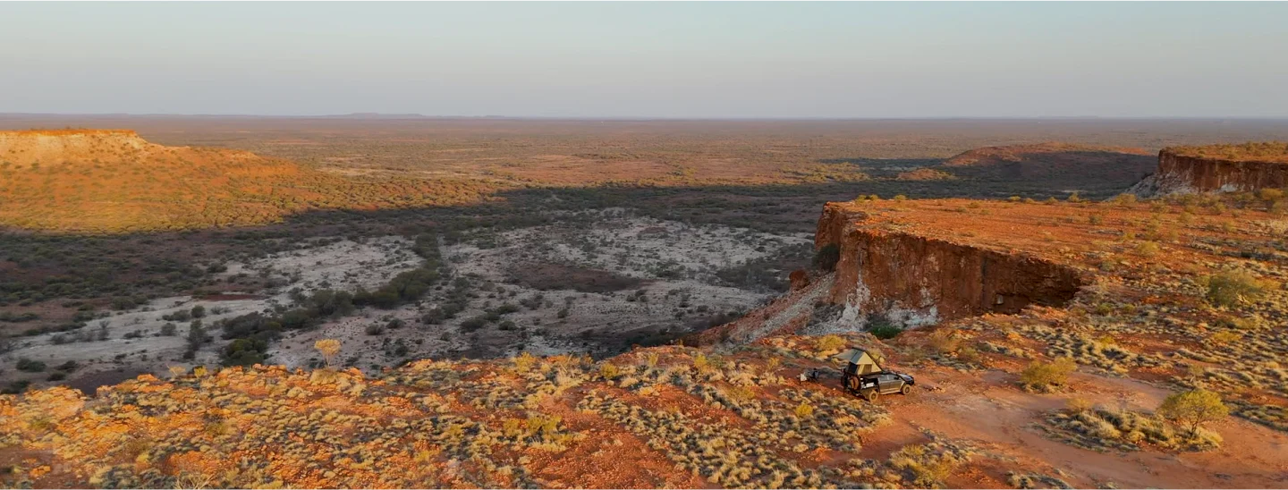 Engineered for the Wild